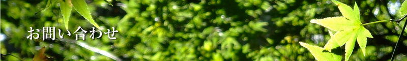 ₢킹